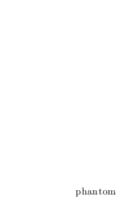 ../../../_images/feynml_attributes_type_phantom_2_11.png