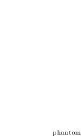 ../../../_images/feynml_attributes_type_phantom_2_11.png